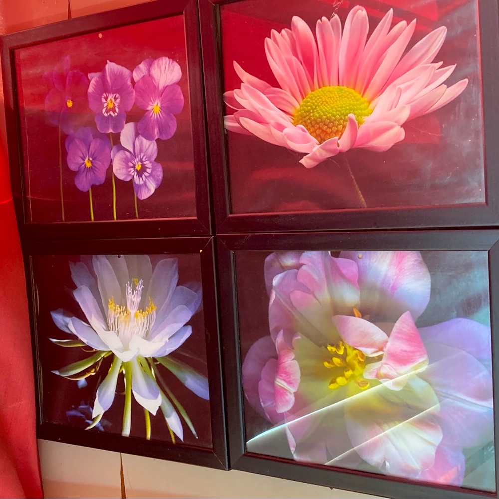 4 Flower Photo Frames